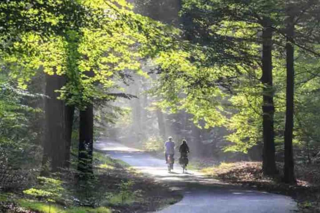 Chalet Toetje Op De Veluwe Hoenderloo Εξωτερικό φωτογραφία