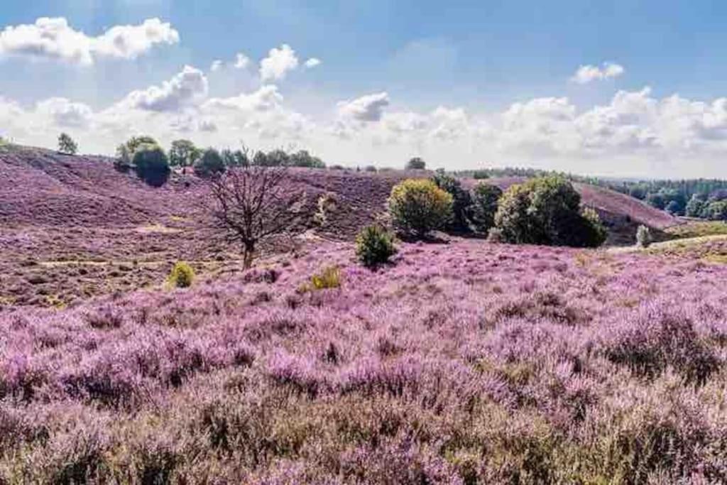 Chalet Toetje Op De Veluwe Hoenderloo Εξωτερικό φωτογραφία